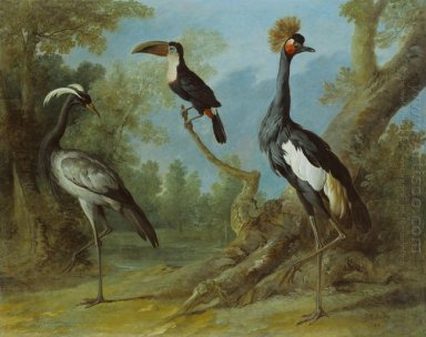 Demoiselle Crane, Toucan, och Tufted Crane