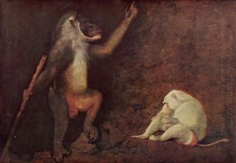 Pavian Dan Albino Makake