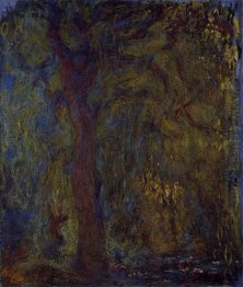 Weeping Willow 5 1919