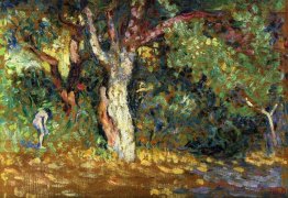 Para estudo na floresta com Female Nude