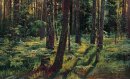 Helechos en el bosque Siverskaya 1883