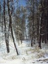 Winter In Een Bos Rime 1877