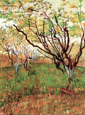 Orchard In Blossom 1888