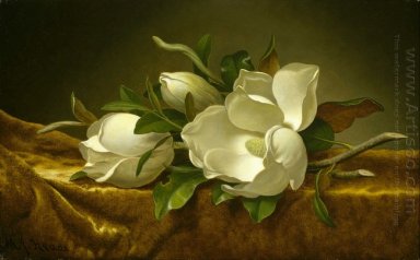 Magnolias en el oro del paño del terciopelo