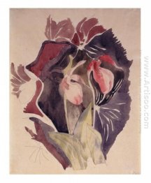Orquídeas Selvagens