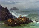 sello rocas Océano Pacífico California