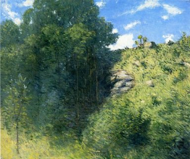 Ravin près de Branchville