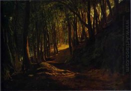 Oak Grove Di San Terenzo