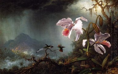 Zwei kämpfende Kolibris mit zwei Orchideen