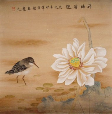 Lotus - pittura cinese