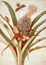 Pineapple and cockroaches