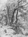 Dans La Forêt 1886