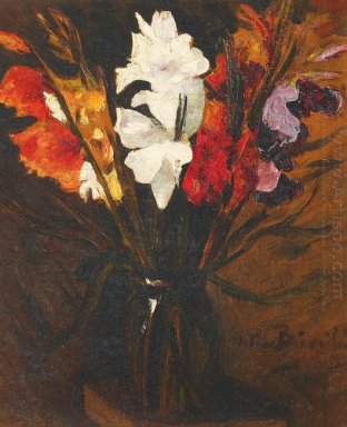 Kaiser Gladiolus