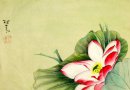 Lotus - pittura cinese
