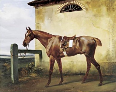 Ein Saddled Pferderennen auf einen Zaun gebunden