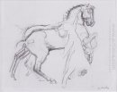 Kavaleri Melangkah A Horse 1908