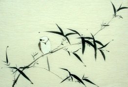 Pássaros & flores - pintura chinesa