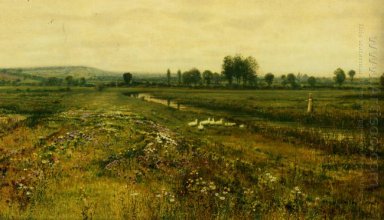 En omfattande Meadow Landskap med gäss vid en bäck 1892