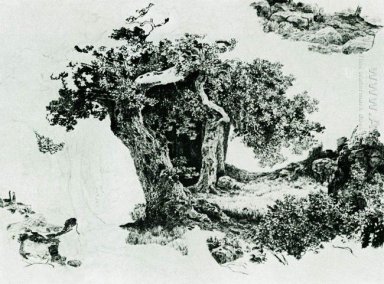 Groep Van bladverliezende Bomen en stenen