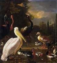 En pelikan och andra fåglar nära en Pool (The Floating Feather)