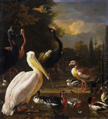Пеликан и других птиц вблизи полюса (с плавающей перо)