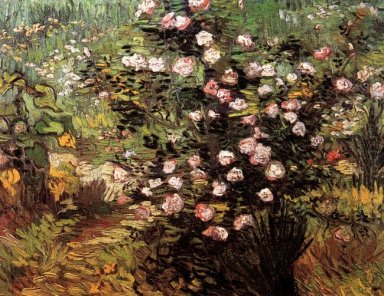 Rosebush in der Blüte 1889