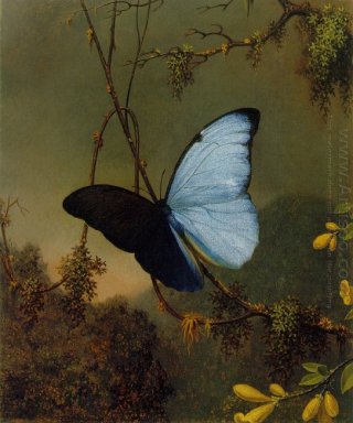 Blauer Morpho Schmetterling