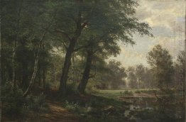 Hutan Landscape Dengan Streaming
