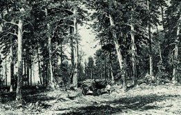 Skog 1876