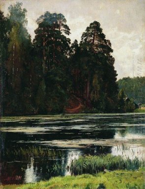 Pond 1881