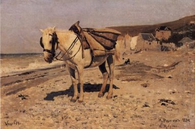 Häst Viol 1874