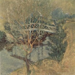 A Ponte Branca 1897