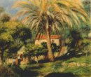 A Palmeira 1902