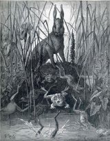 O Hare e as rãs