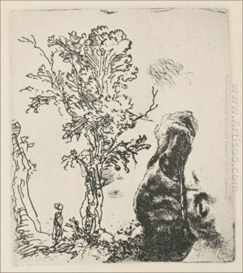 Schets van Een Tree 1638