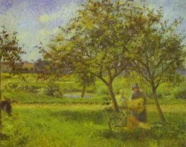 skottkärra fruktträdgård