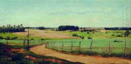 Paisagem do verão com estrada