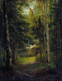 Hydda i skogen