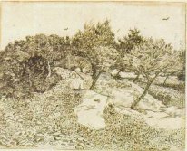 L'Albero Olive 1888