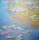 Water Lilies 31
