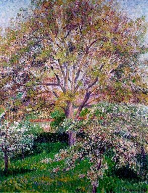 wallnut and apple trees in bloom at eragny