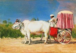 Fordon I Delhi 1875