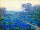 Bluebonnets en Sunrise