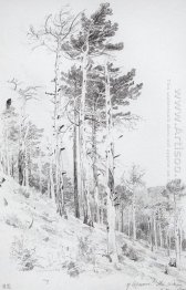 Di Top Of The Ai Petri 1879