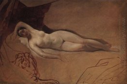 Sova Juno