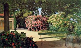 The Terrace At M? Ric (Oleander)