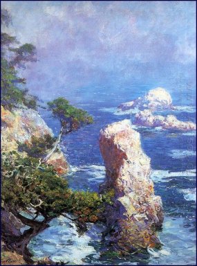 Mist över Point Lobos