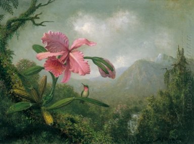 Orquídea y colibrí cerca de una cascada de montaña