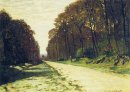 Straße in einem Wald von Fontainebleau
