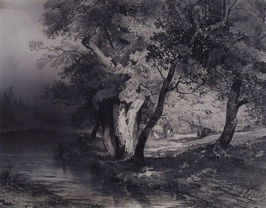 Foresta vicino al lago illuminato dal sole 1856
